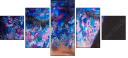 69457575