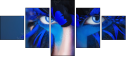 69641172