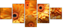 701850992