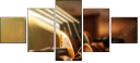 70192186