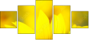 70553705