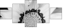 71181016