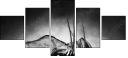 71412657