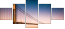 71420555