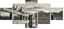 72072664