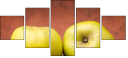 72103606