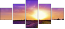 72306862