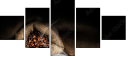 74493123