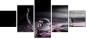 75116063