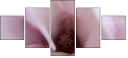 75397074