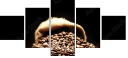 75743507