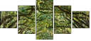 76209403