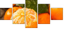 76269627