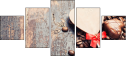 76909323