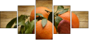 78022660