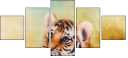 78189357