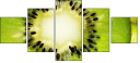 79048317