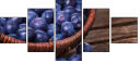79175349