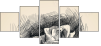 80036586