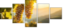 816736587
