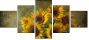 904593686