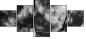 998443