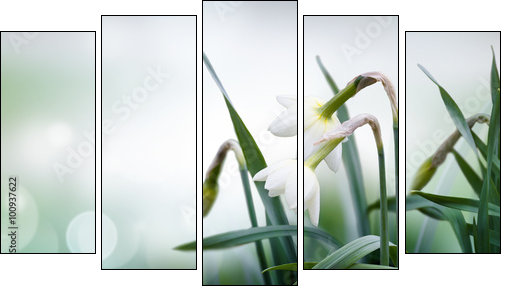abstract spring background - Obraz pięcioczęściowy, Pentaptyk