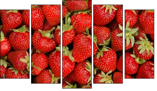 Strawberry fields – na zawsze truskawki
 - Obraz pięcioczęściowy, Pentaptyk