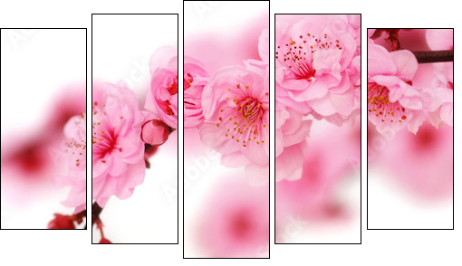 Kwiaty wiśni – Japonia mniej dosłownie
 - Obraz pięcioczęściowy, Pentaptyk