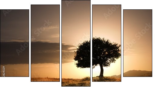 Samotne drzewo i zachód słońca
 - Obraz pięcioczęściowy, Pentaptyk