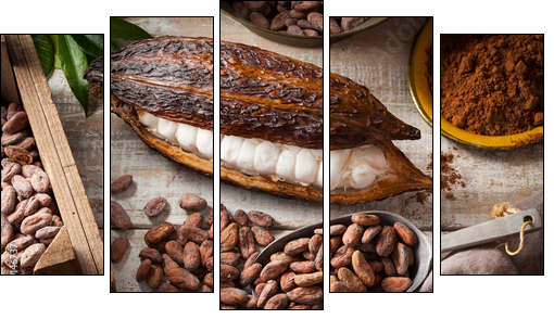 Cocoa beans and pod - Obraz pięcioczęściowy, Pentaptyk