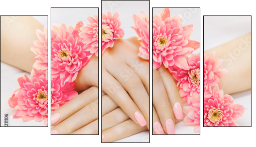 pink manicure with chrysanthemum flowers. spa - Obraz pięcioczęściowy, Pentaptyk