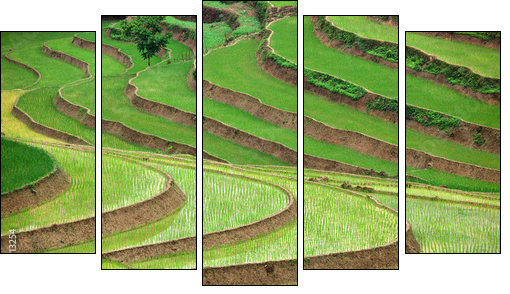 Ogrody świata – zielone tarasy
 - Obraz pięcioczęściowy, Pentaptyk