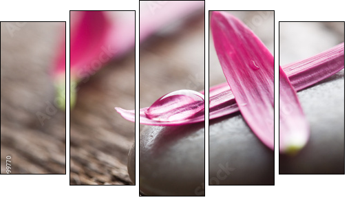 Płatki kwiatów – różowa elegancja
 - Obraz pięcioczęściowy, Pentaptyk