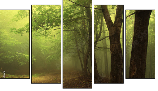Leśna mgła – poranek w zielonym gaju
 - Obraz pięcioczęściowy, Pentaptyk