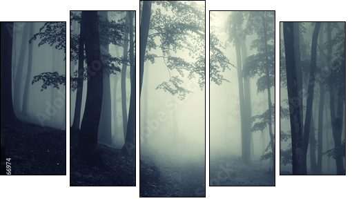 Las za mgłą – tajemnice przyrody
 - Obraz pięcioczęściowy, Pentaptyk