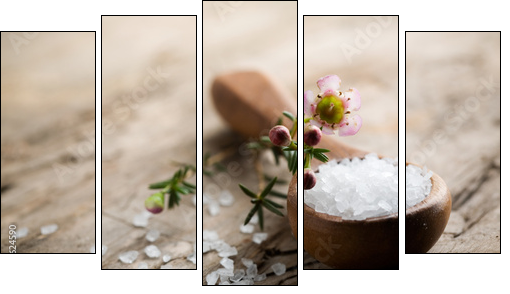 Sól do kąpieli – pocałunek luksusu z morskich głębin
 - Obraz pięcioczęściowy, Pentaptyk