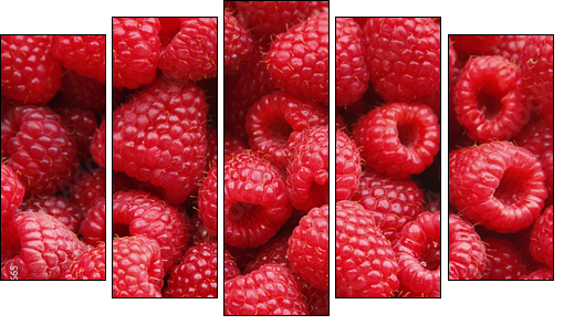 Owoce malin - niepowtarzalny smak lata - Obraz pięcioczęściowy, Pentaptyk