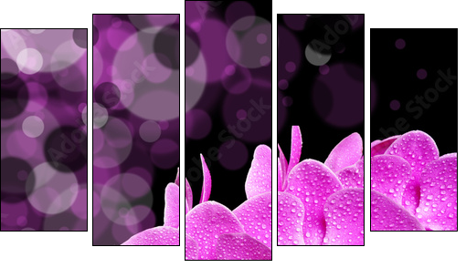 Świeże orchidee
 - Obraz pięcioczęściowy, Pentaptyk
