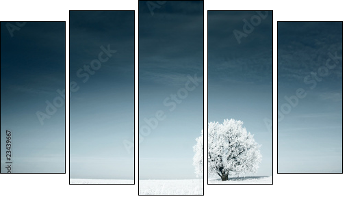 Zimowa łąka otulona białym puchem - Obraz pięcioczęściowy, Pentaptyk