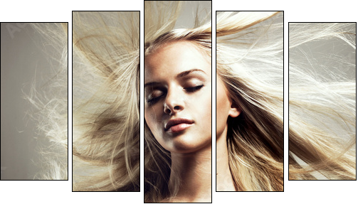 Beautiful woman with magnificent hair  - Obraz pięcioczęściowy, Pentaptyk