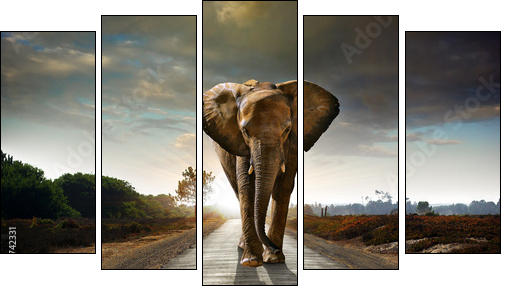 Walking Elephant  - Obraz pięcioczęściowy, Pentaptyk