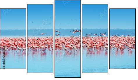 African flamingos  - Obraz pięcioczęściowy, Pentaptyk