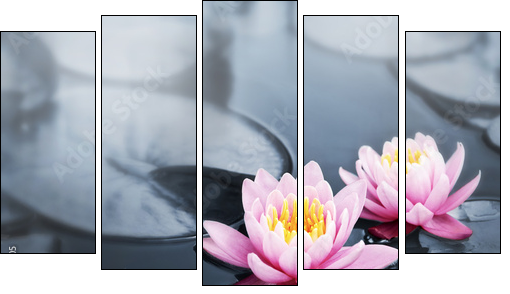 Orientalny lotos – klimat jak ze spa
 - Obraz pięcioczęściowy, Pentaptyk