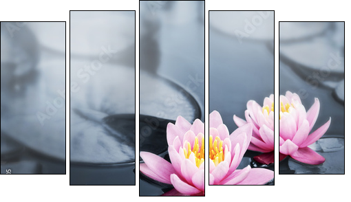 Kwiaty lotosu – orient podkreślony ekspresem
 - Obraz pięcioczęściowy, Pentaptyk