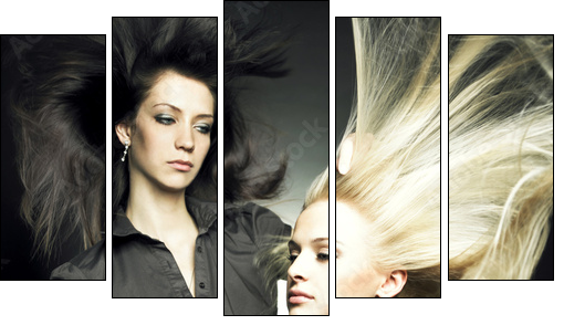 Woman in a beauty salon  - Obraz pięcioczęściowy, Pentaptyk