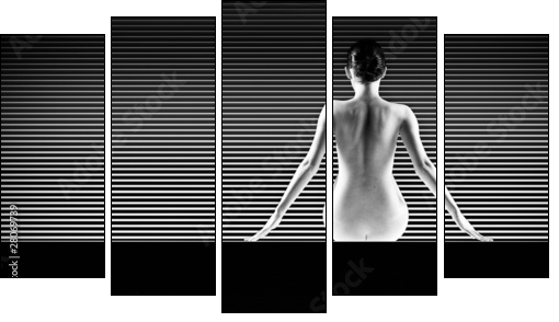 black and white artistic nude; a back silhouette shot on striped  - Obraz pięcioczęściowy, Pentaptyk