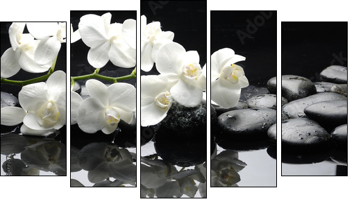 Close up white orchid with stone water drops  - Obraz pięcioczęściowy, Pentaptyk