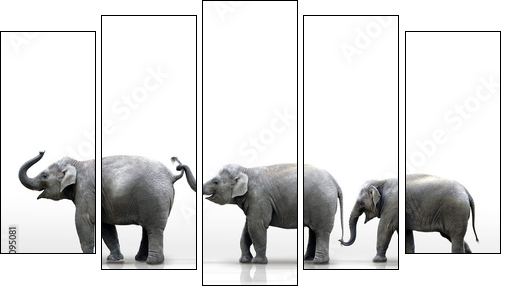 Elefantenherde  - Obraz pięcioczęściowy, Pentaptyk