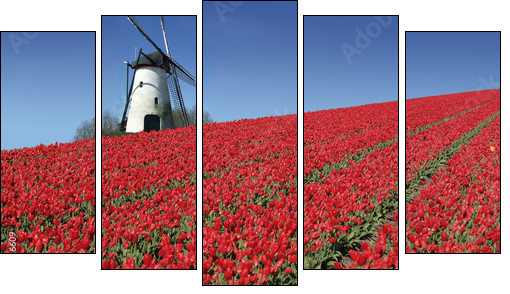 Esencja Holandii – wiatrak i tulipany
 - Obraz pięcioczęściowy, Pentaptyk